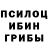 Псилоцибиновые грибы мицелий Lures