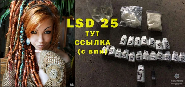 PSILOCYBIN Пестово