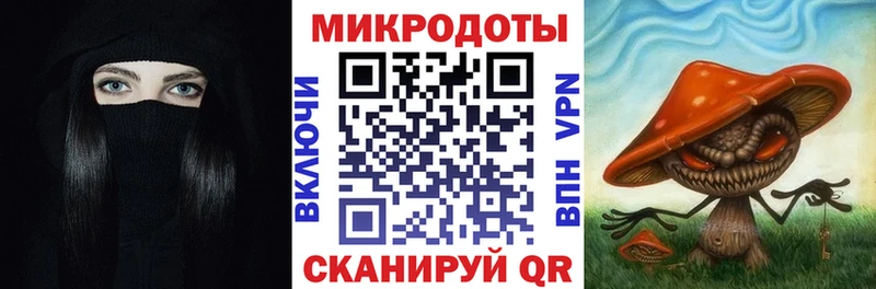 наркотики  Устюжна  Галлюциногенные грибы Cubensis 